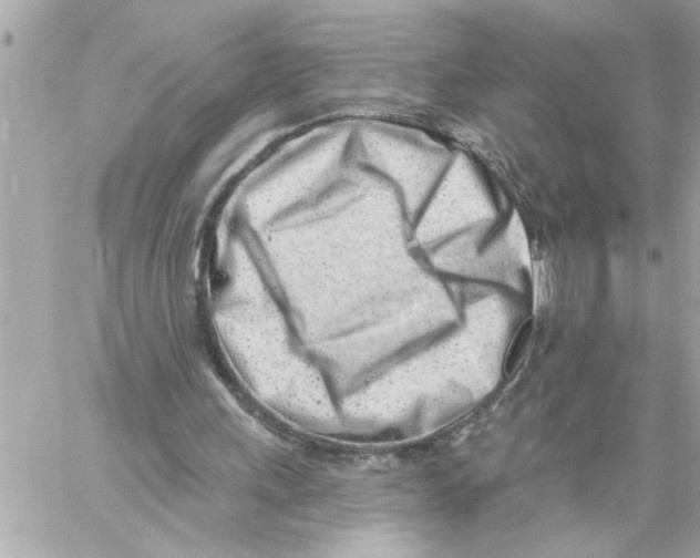 X0000059060243200511041736