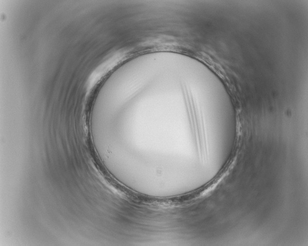 X0000059060245200511041736