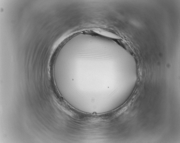 X0000059060246200511041736