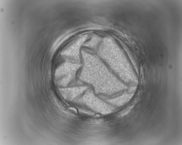 X0000059060247200511041736