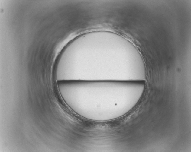 X0000059060248200511041736