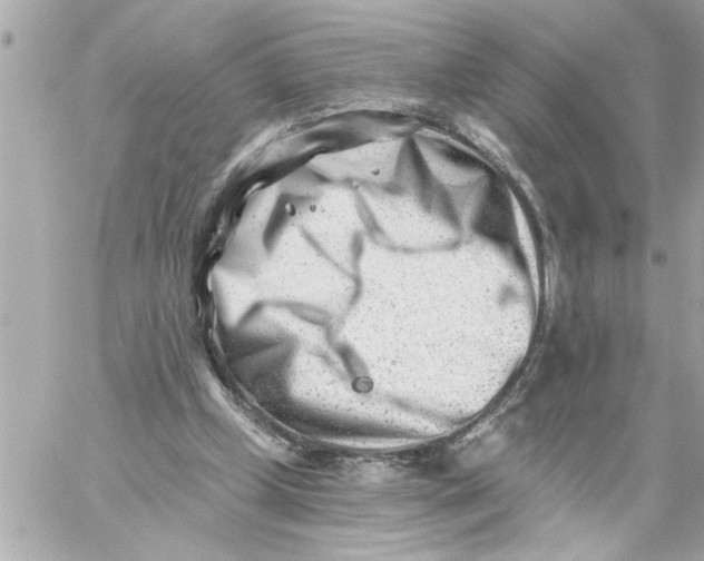 X0000059060249200511041736