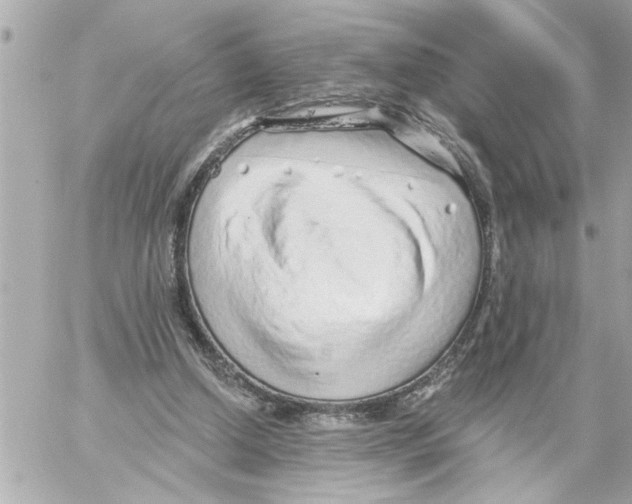 X0000059060250200511041736