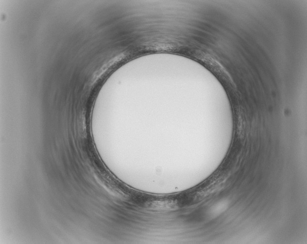 X0000059060251200511041736