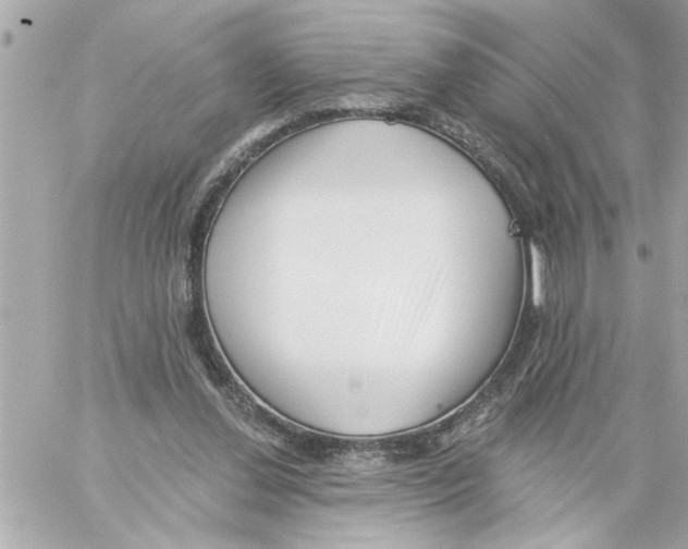 X0000059060252200511041736