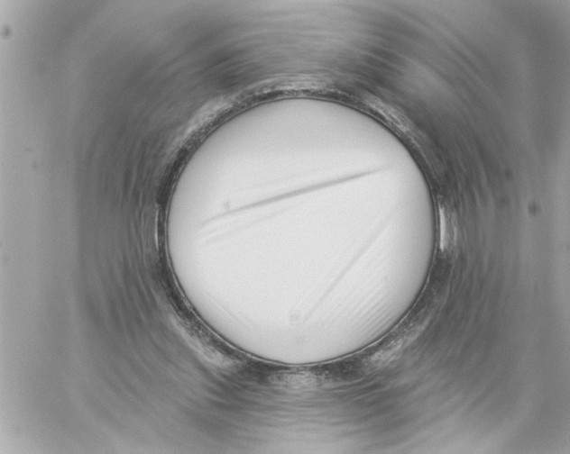 X0000059060253200511041736