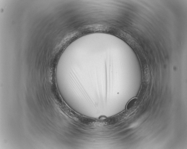 X0000059060255200511041736