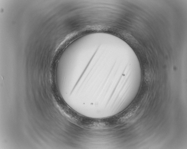 X0000059060256200511041736