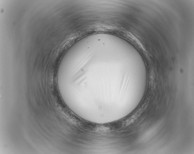 X0000059060257200511041736