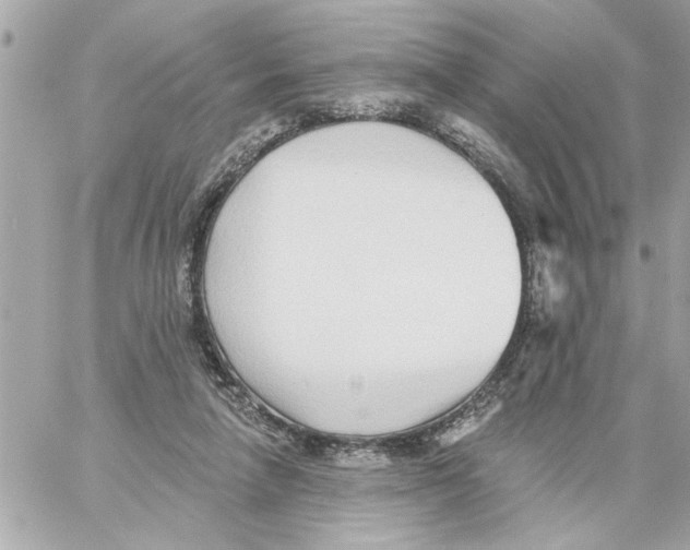 X0000059060258200511041736