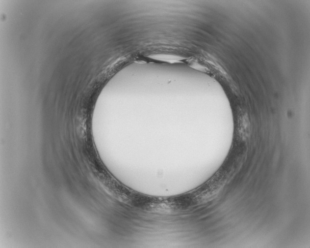 X0000059060259200511041736