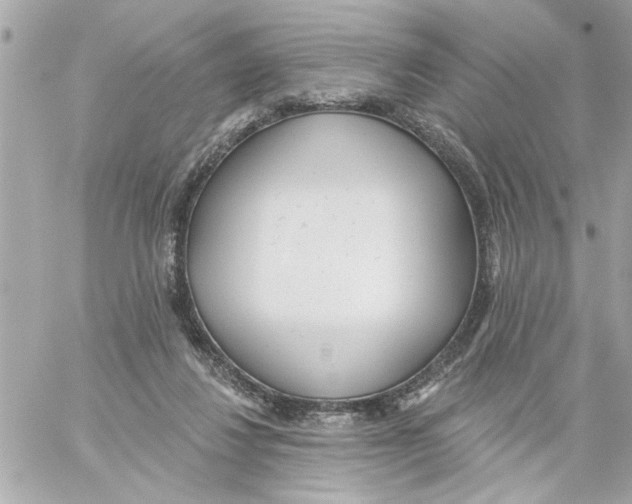 X0000059060260200511041736