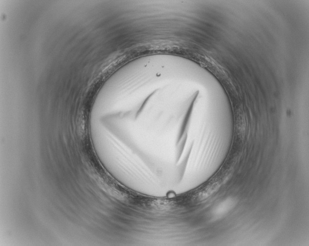 X0000059060261200511041736