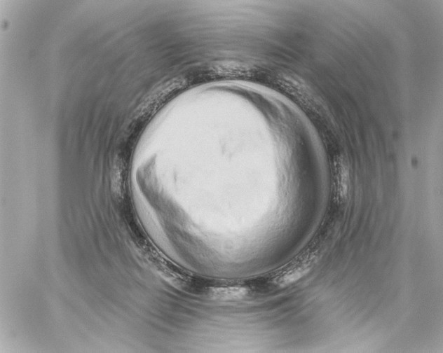 X0000059060266200511041736