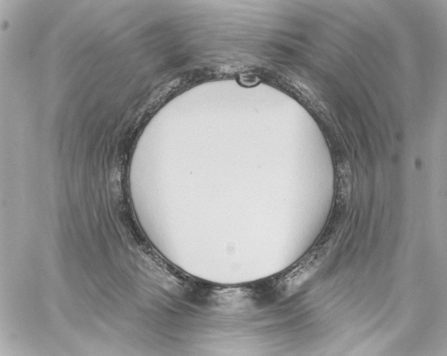 X0000059060269200511041736