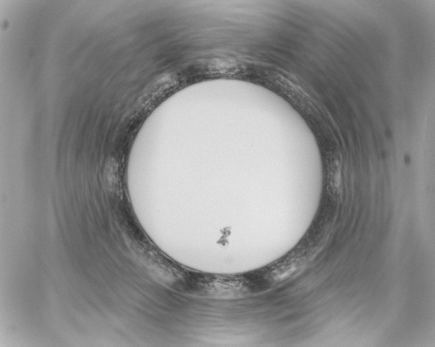 X0000059060270200511041736