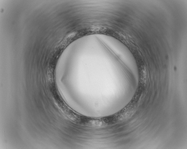 X0000059060272200511041736