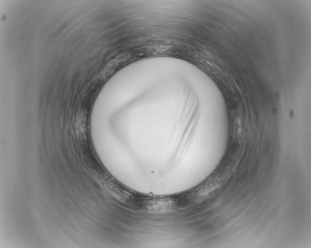 X0000059060274200511041736