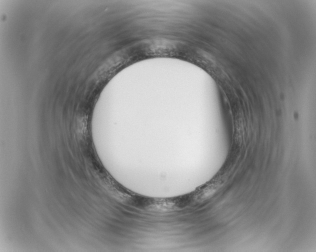 X0000059060278200511041736