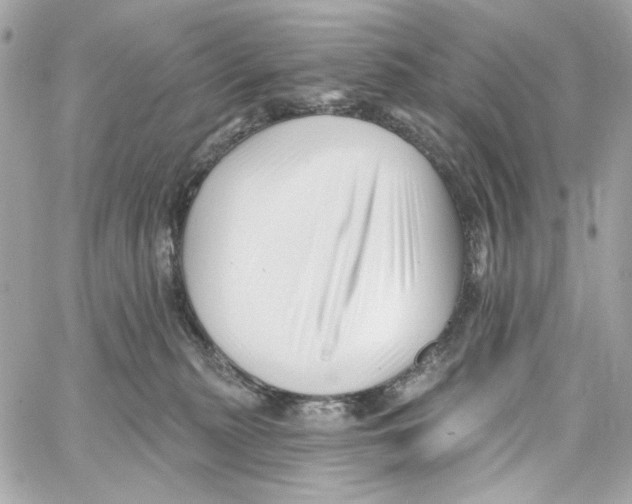 X0000059060279200511041736