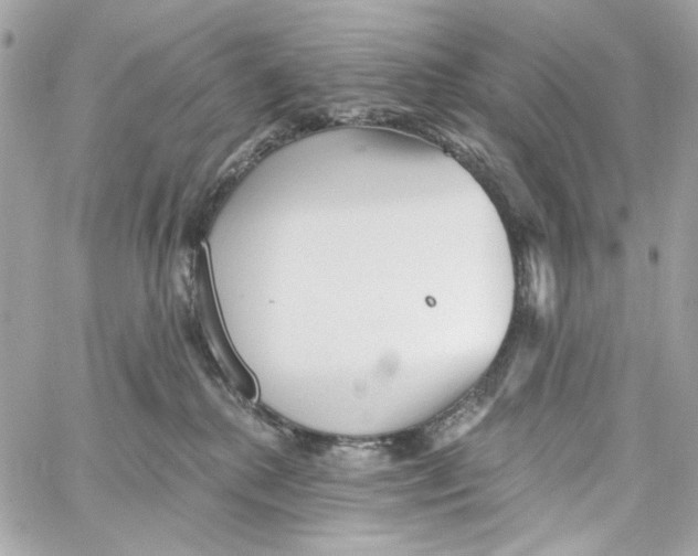 X0000059060280200511041736