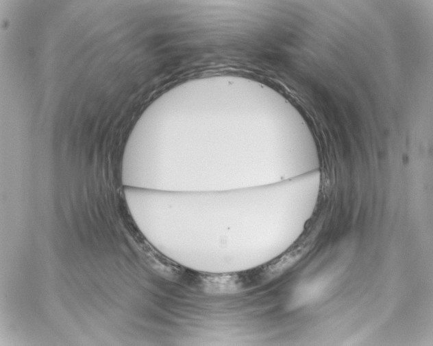 X0000059060281200511041736