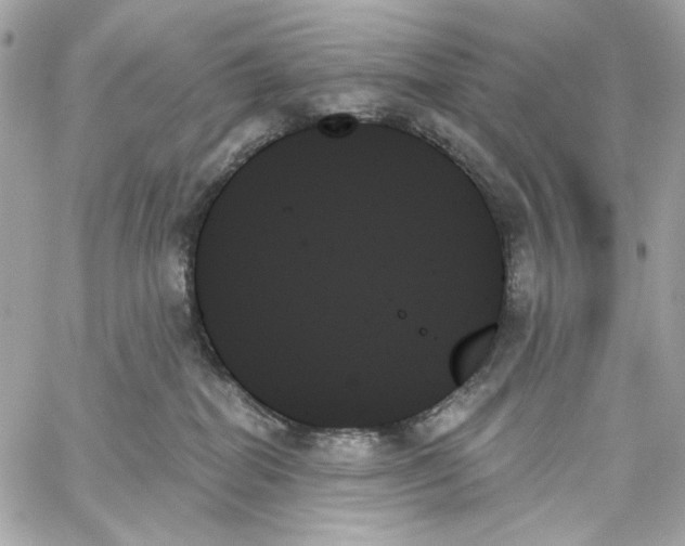 X0000059060282200511041736