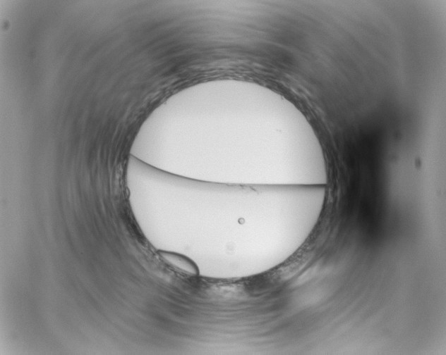 X0000059060283200511041736