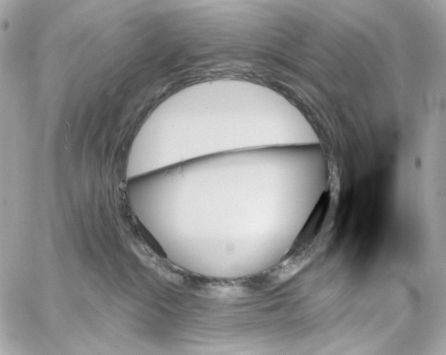 X0000059060284200511041736