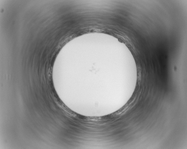 X0000059060285200511041736