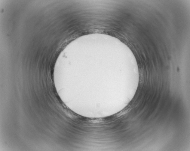 X0000059060286200511041736