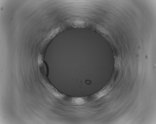 X0000059060287200511041737