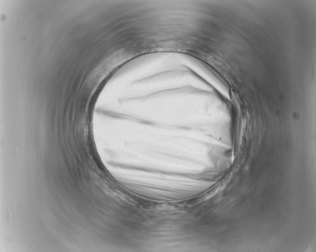 X0000059060290200511041736