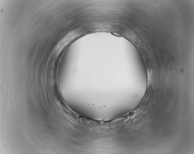 X0000059060291200511041736