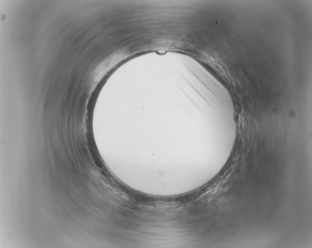 X0000059060292200511041736