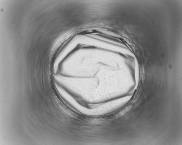 X0000059060293200511041736