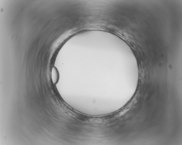 X0000059060294200511041736