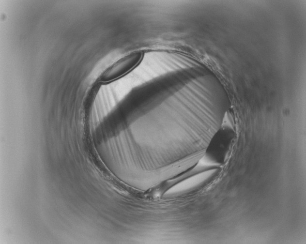 X0000059060295200511041736