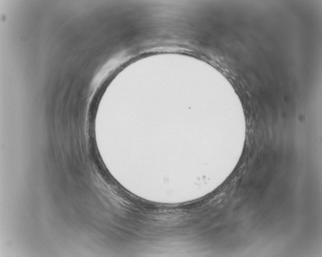 X0000059060296200511041736