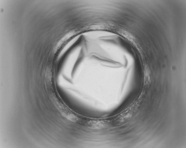 X0000059060297200511041736