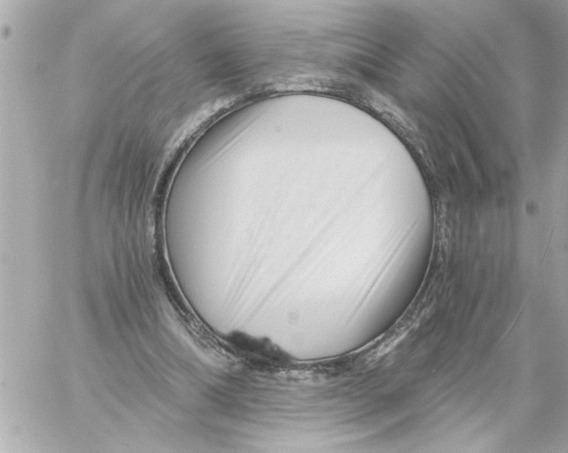 X0000059060298200511041736