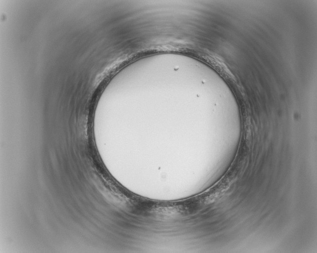 X0000059060299200511041736