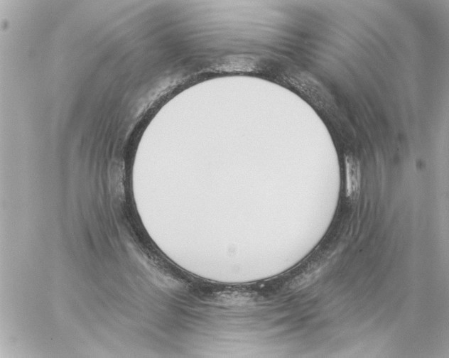 X0000059060300200511041736