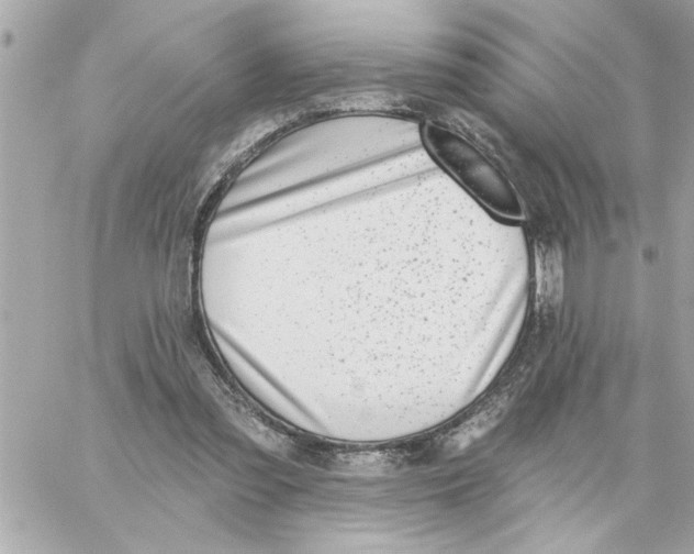 X0000059060301200511041736