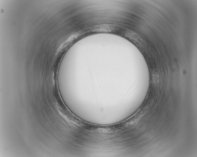 X0000059060302200511041735