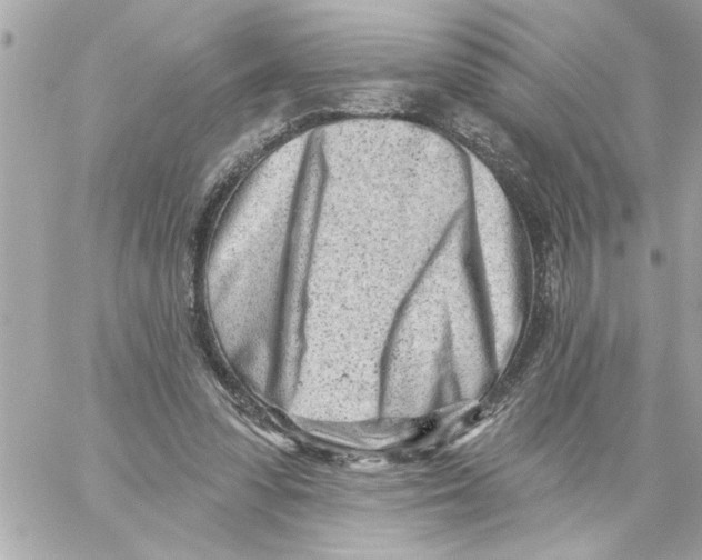 X0000059060303200511041735