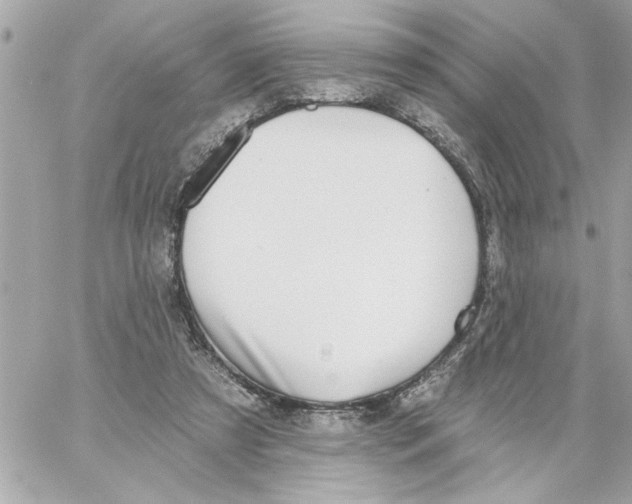 X0000059060305200511041735