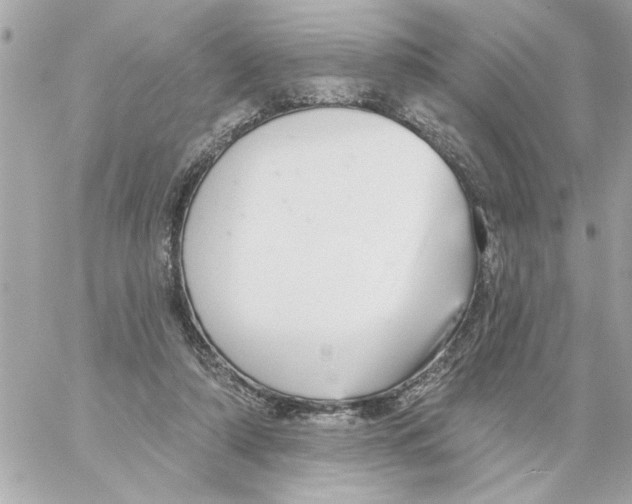 X0000059060306200511041735