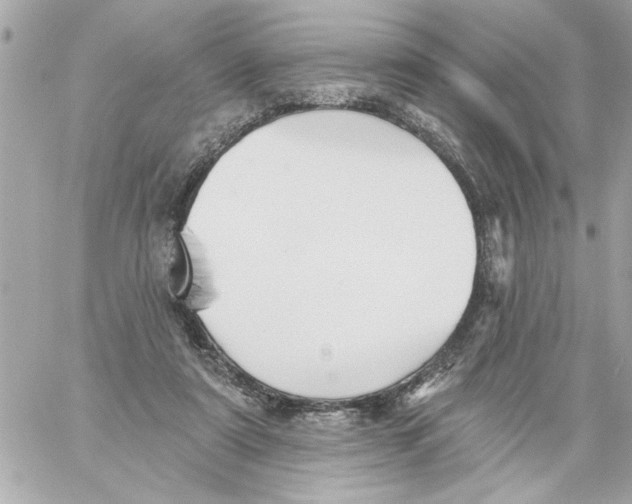 X0000059060307200511041735