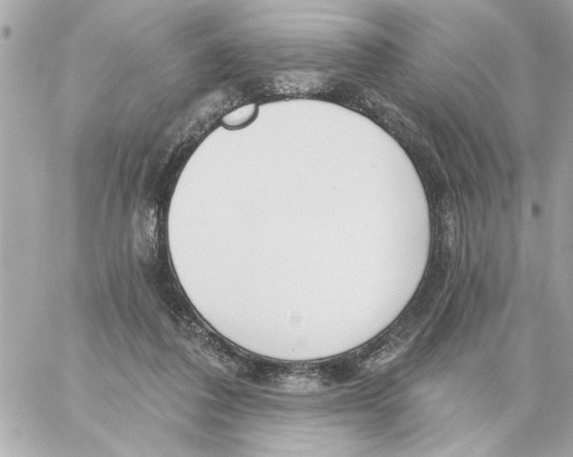 X0000059060308200511041735